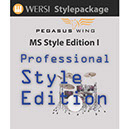 WERSI MS Professional Style-Edition 1