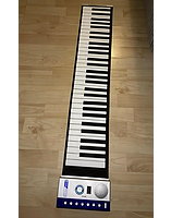 Te Koop Aangeboden Wersi opvouwbare Piano