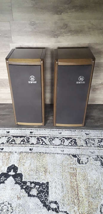 Tekoop Aangeboden Wersi speaker boxen TS 2000